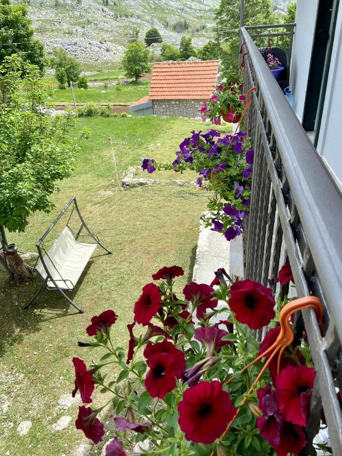 Guest House Markovic Lovcen Цетинє Екстер'єр фото
